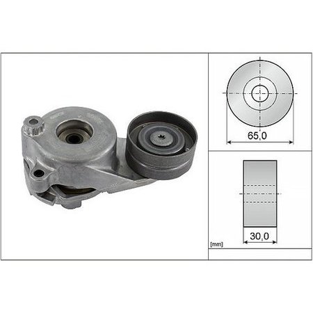 INA Tensioner, Ft40183 FT40183